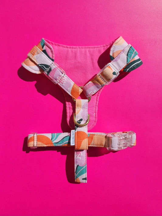 Handmade Adjustable Dog Harness - Citrus Spritz