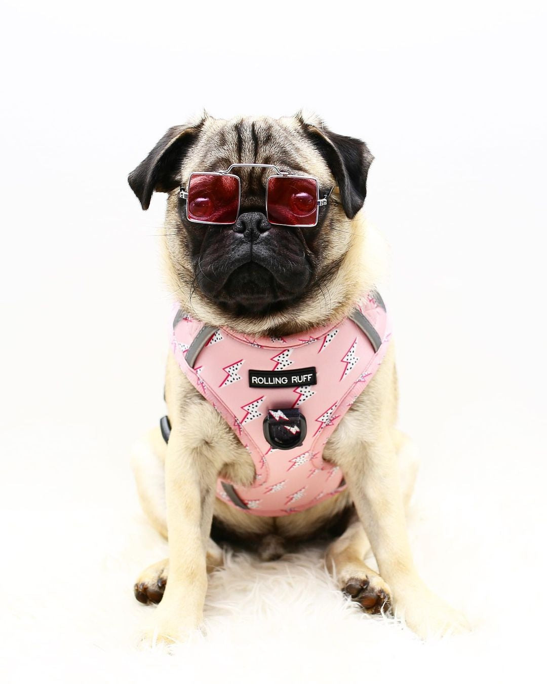 ELECTRIC VIBES Adjustable Dog Harness