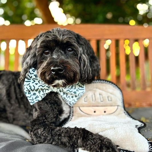 MEMPHIS Bow Tie - White