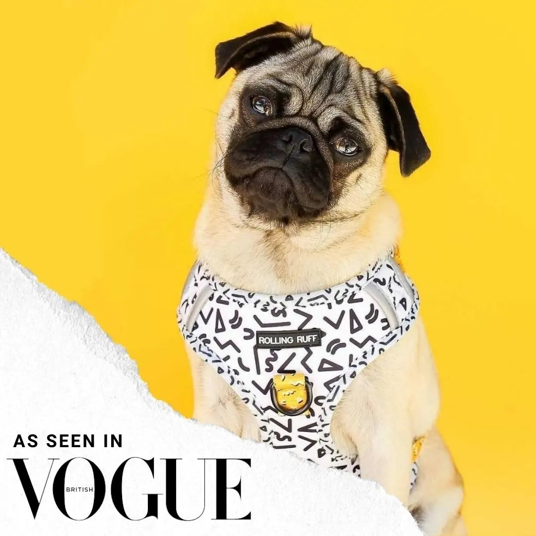 MEMPHIS Adjustable Dog Harness