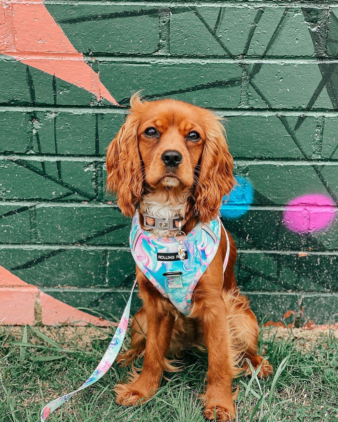 UNICORN MILKSHAKE Dog Leash