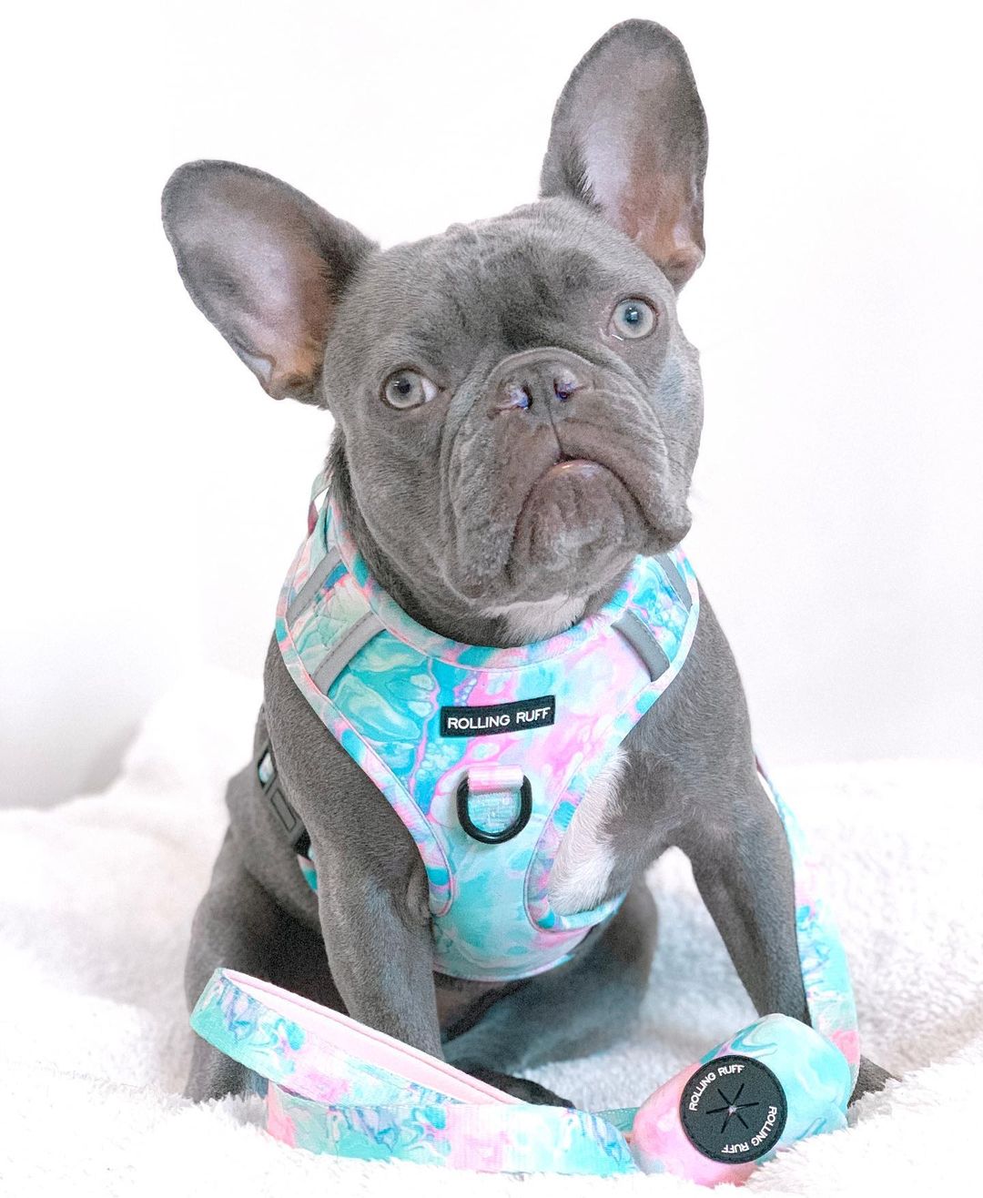 UNICORN MILKSHAKE Dog Leash