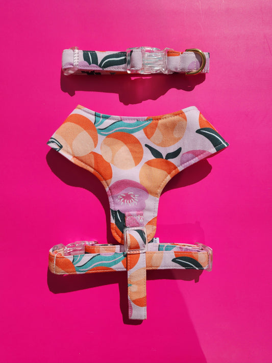 Handmade Adjustable Dog Harness - Citrus Spritz