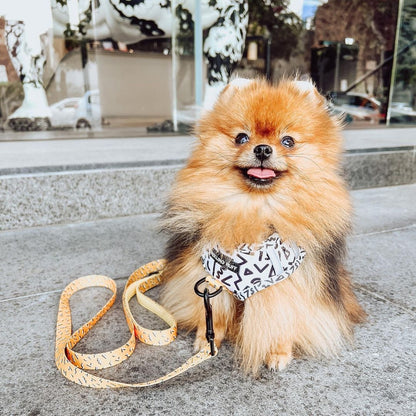 MEMPHIS Adjustable Dog Harness