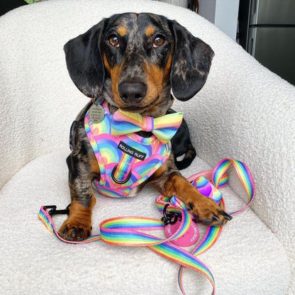SOUR STRAP Adjustable Dog Harness