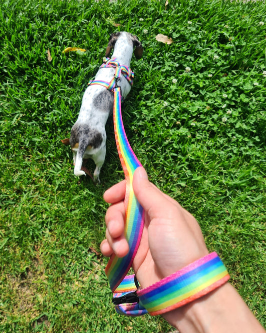 SOUR STRAP Dog Leash