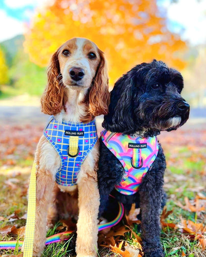 SOUR STRAP Adjustable Dog Harness