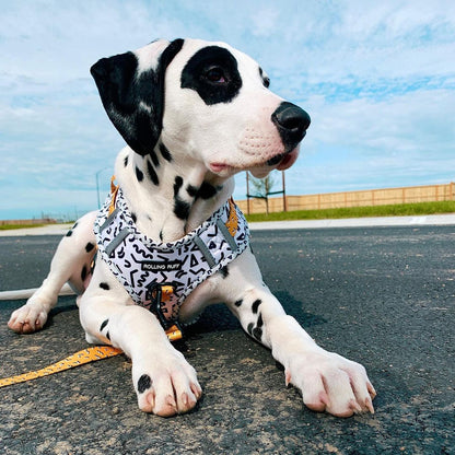 MEMPHIS Adjustable Dog Harness